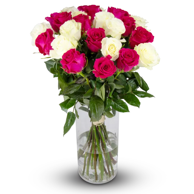 Flowers of ecuadorian roses